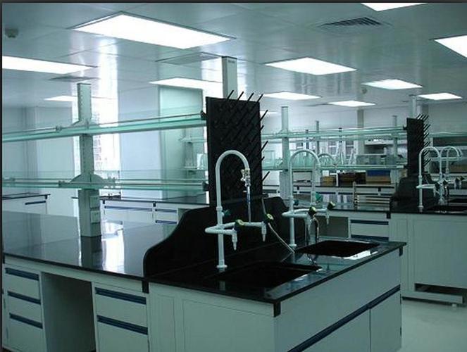 是集实验室的整体规划设计,工程施工,净化设备和实验室家具生产与安装